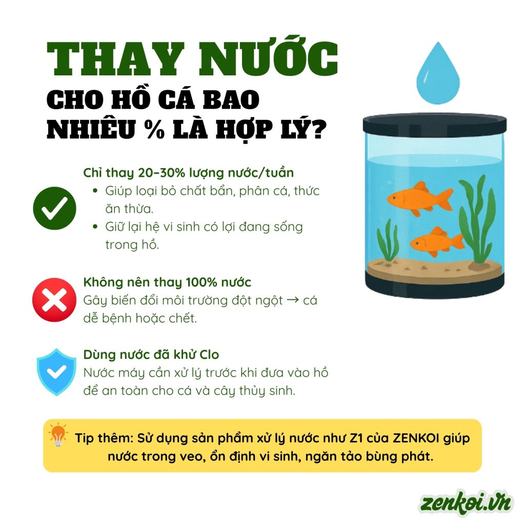 Thay nước hồ cá: Bao nhiêu % là hợp lý?