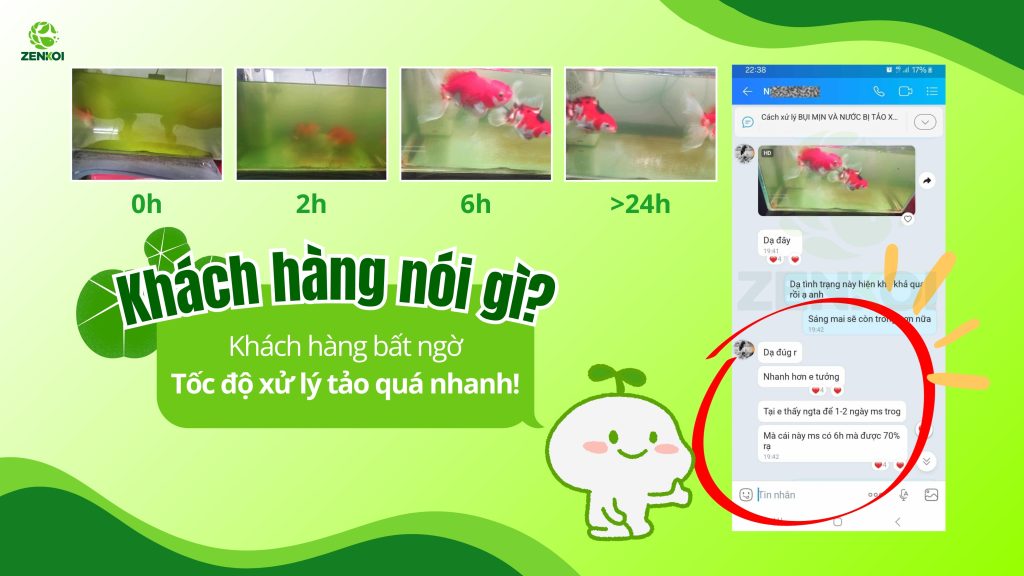 Đánh Giá Của Khách Hàng Về Z1 Của Zenkoi Xử Lý Tảo Hồ Cá