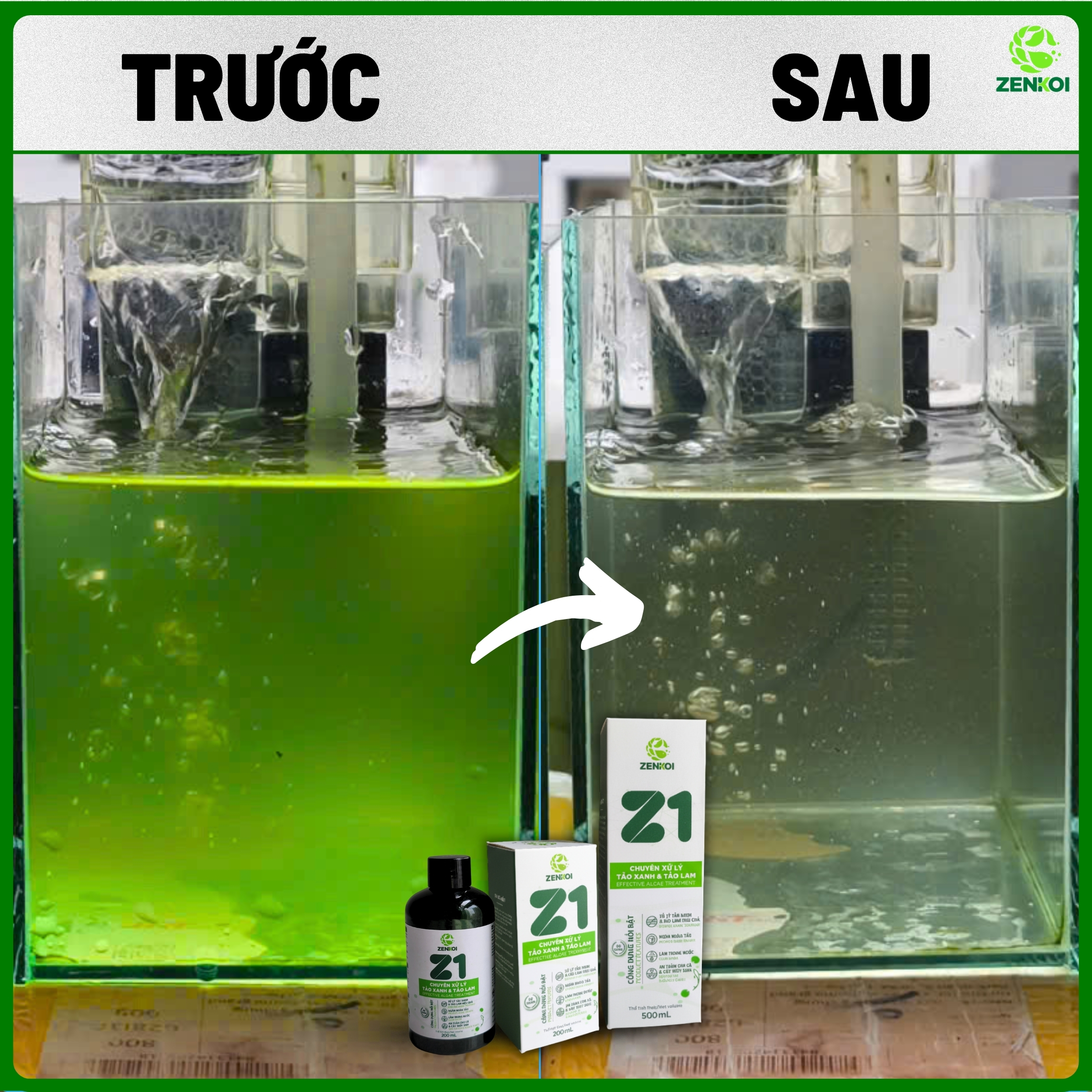 Z1 của ZENKOI xử lý tảo xanh hiệu quả