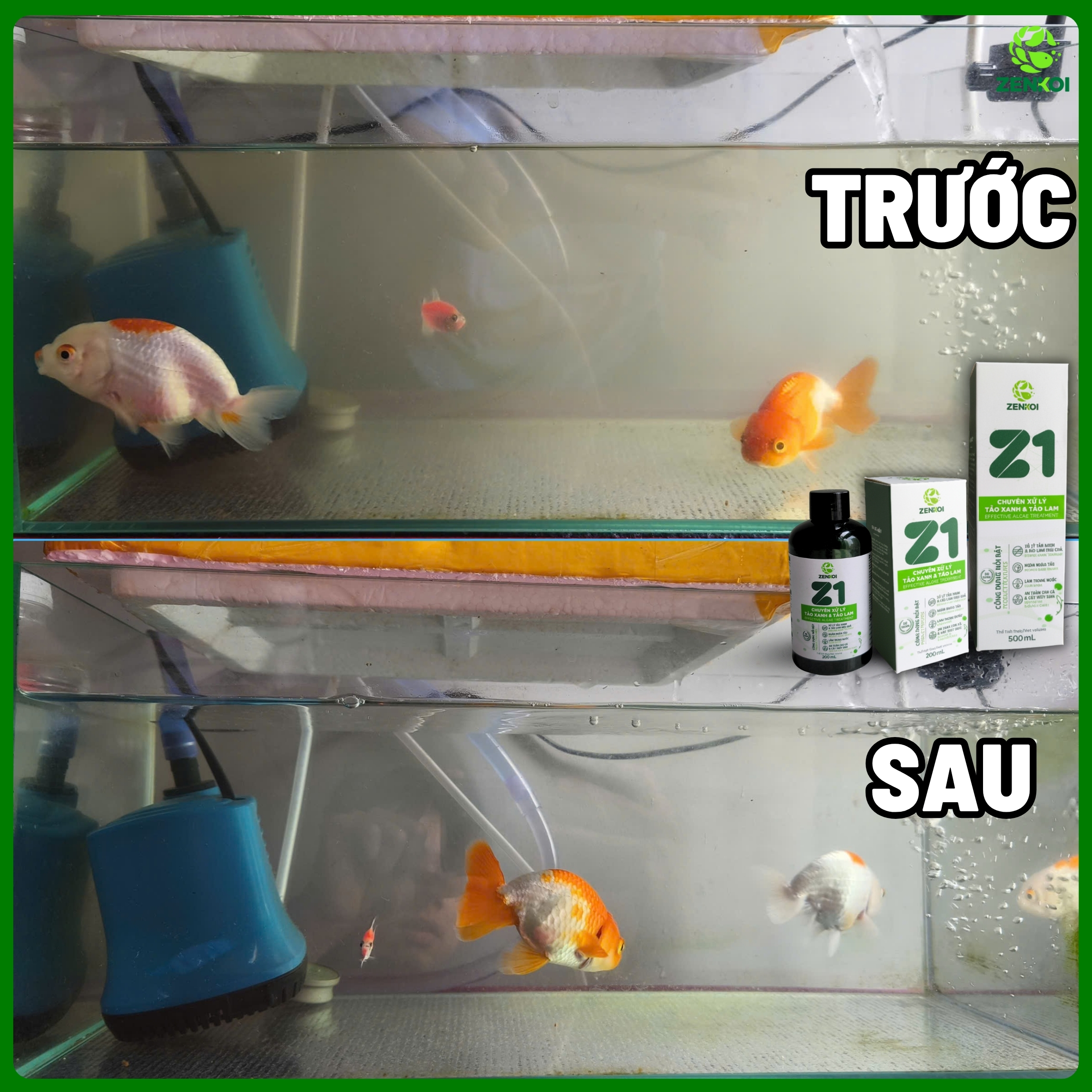 Z1 của zenkoi xử lý nước đục giúp nước trong nhanh