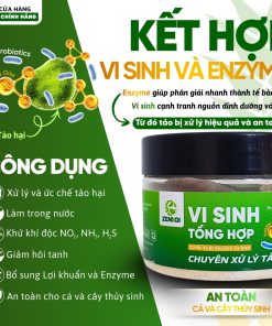 VI SINH ZENKOI