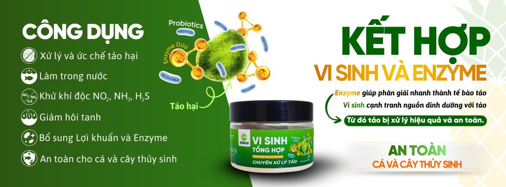 VI SINH TỔNG HỢP ZENKOI