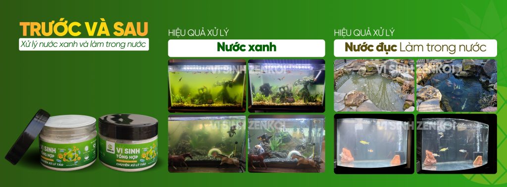 VI SINH TỔNG HỢP ZENKOI