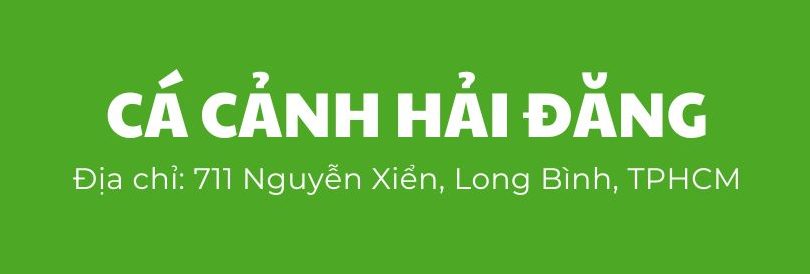 Cá cảnh Hải Đăng